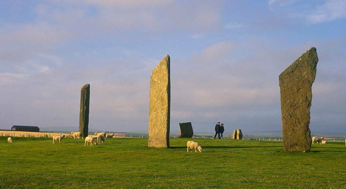 ovejas-escocia.jpg