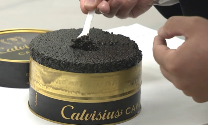 caviar-italia-rusia.jpg
