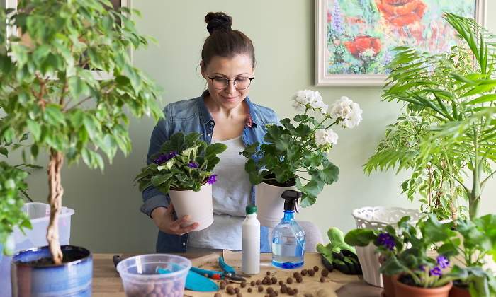 como-regar-plantas-durante-las-vacaciones-1.jpg