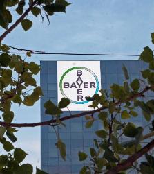 Bayer225x250.JPG