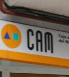 CAM225X250.JPG