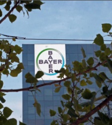 bayer.225x250.jpg