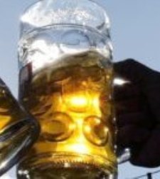 cervezas225x250.jpg