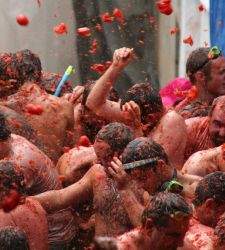 Tomatina225.jpg