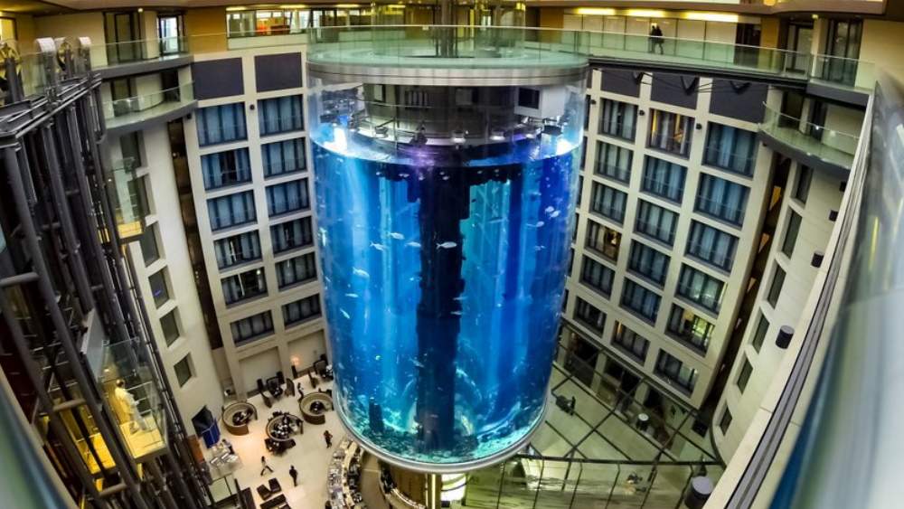 aquadom.jpg