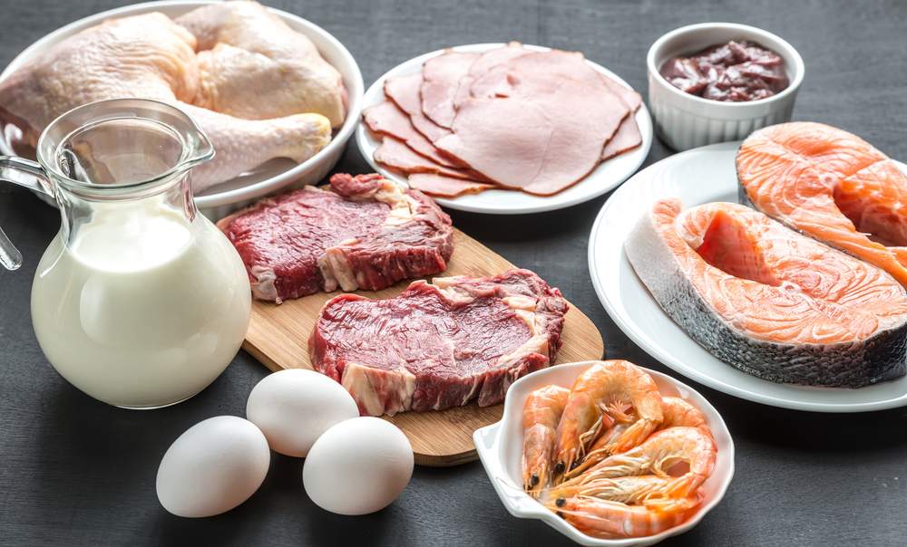 Proteina animal