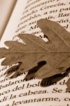 libro-otono.jpg