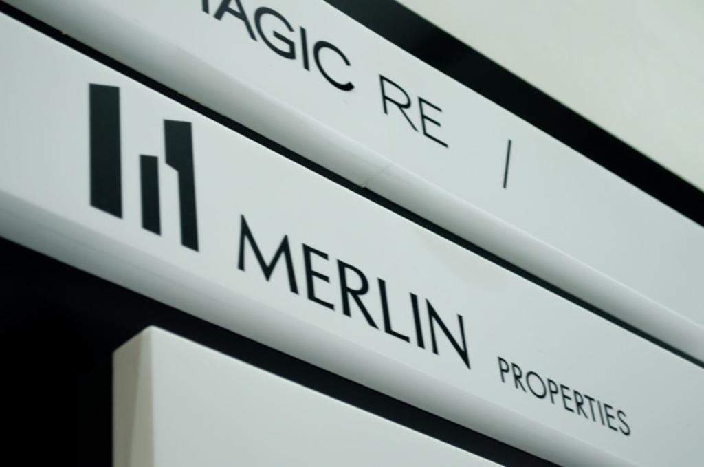Merlin.jpg