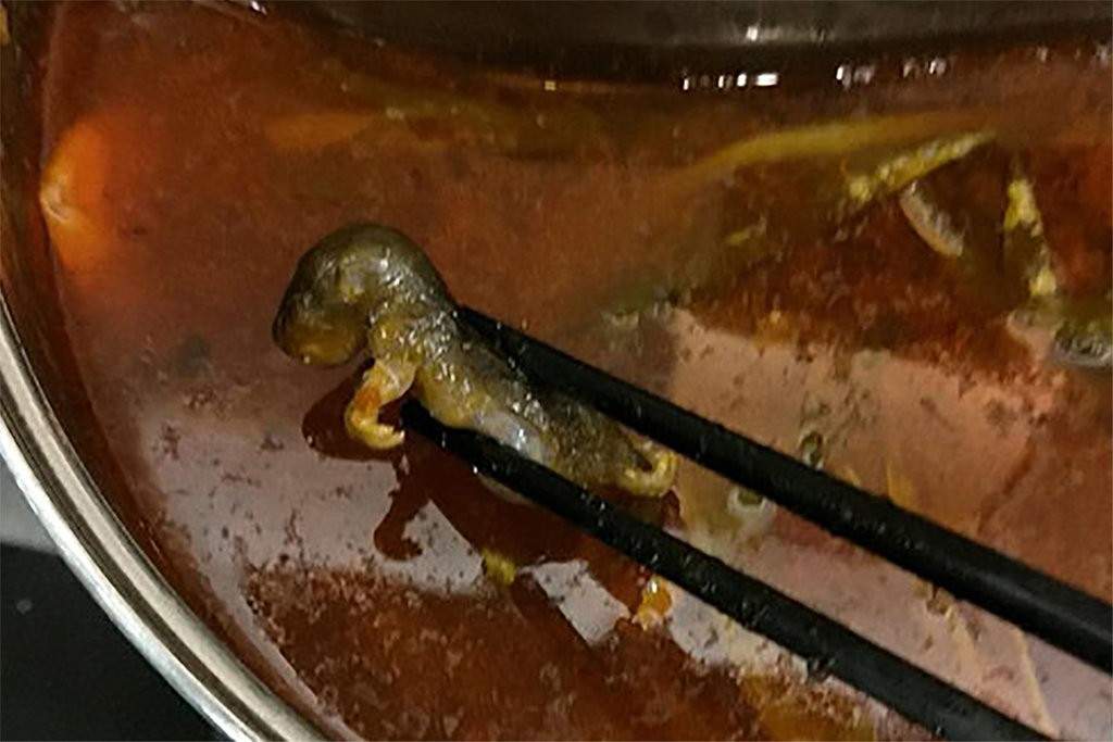 rata-china-hotpot.jpg