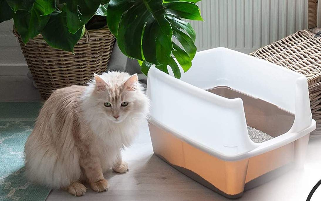 Areneros-para-gatos.jpg