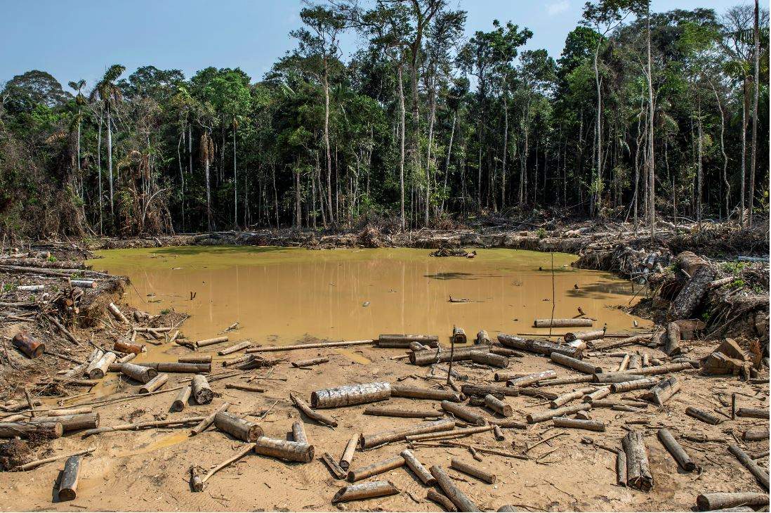 deforestacion.jpg