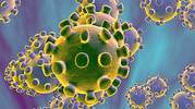 Las teorías conspiranoicas sobre el coronavirus chino