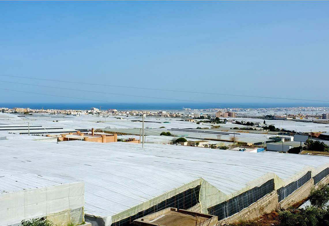 agricultura.jpg
