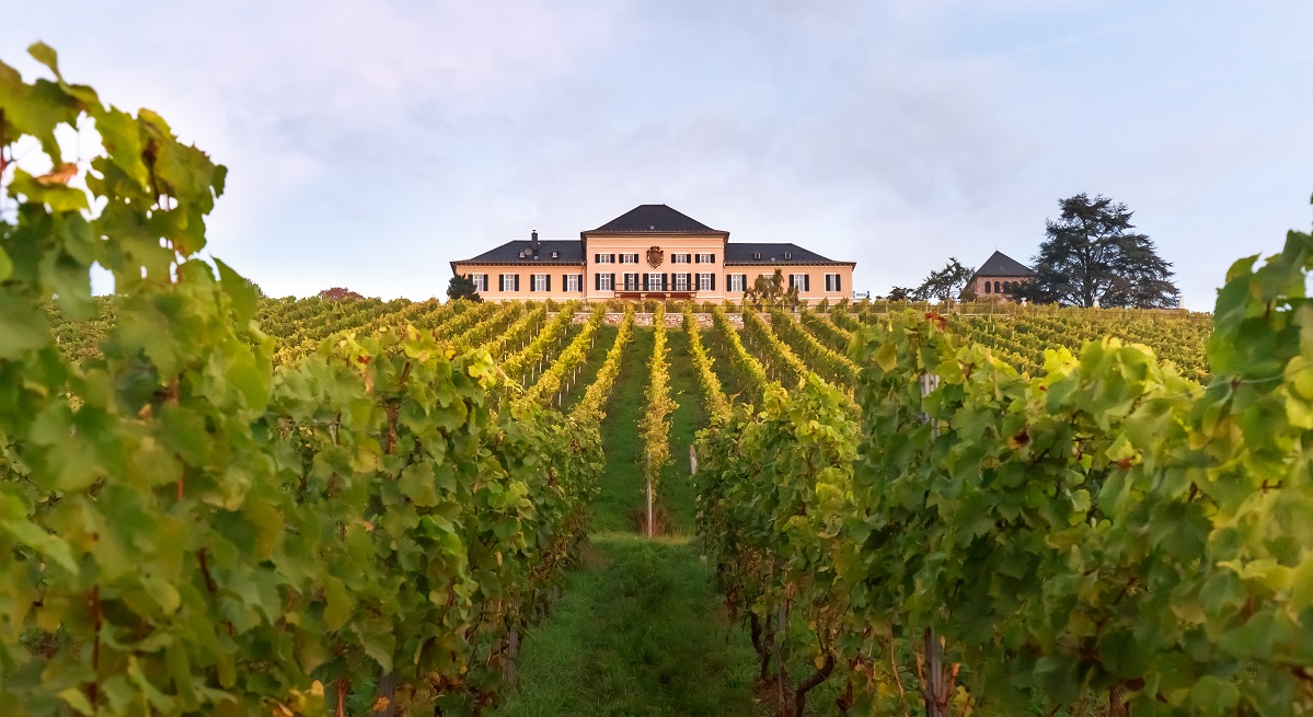 Schloss_JohannisbergWeb.jpg