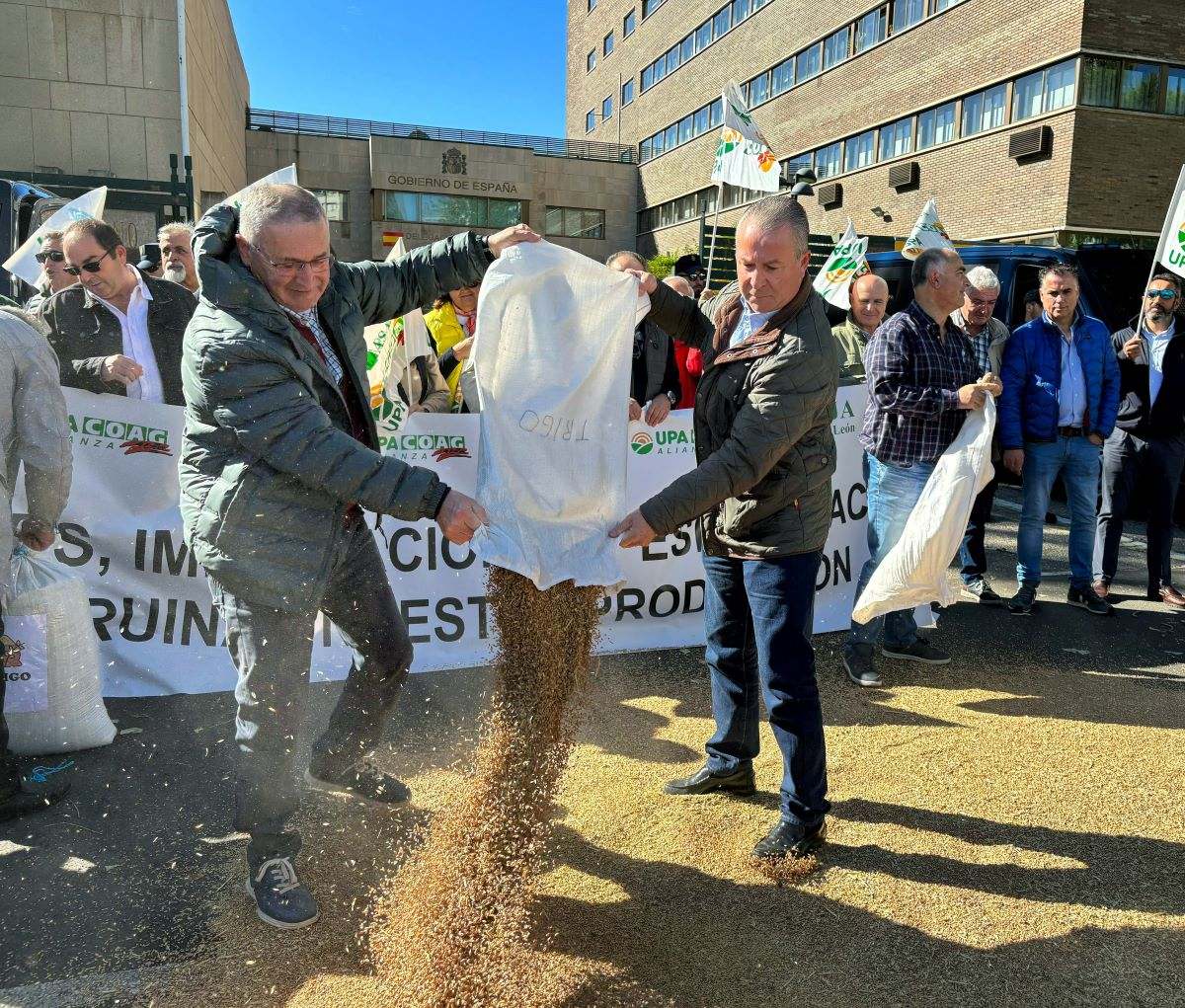 Lorenzo Rivera y Donaciano Dujo vacían un saco de trigo delante de la Delegación del Gobierno de Castilla y León