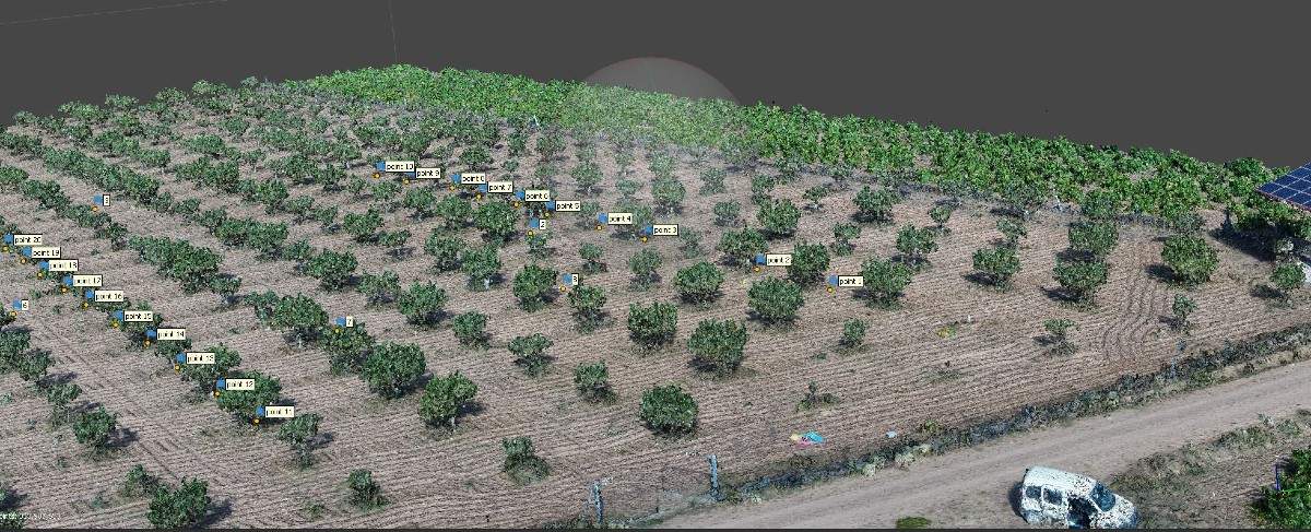 pistacyl.JPG