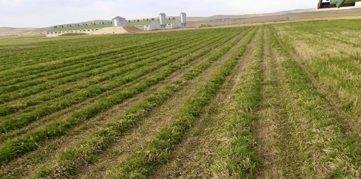 ayudas sequía agricultores aragon