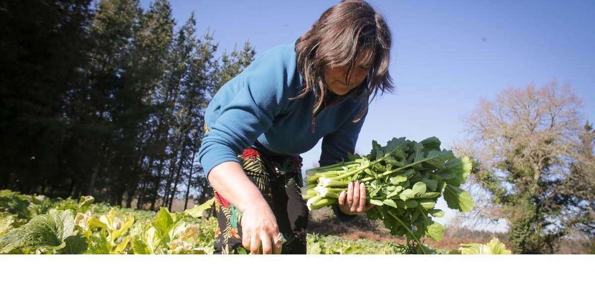 Una agricultora trabajando en su huerta.