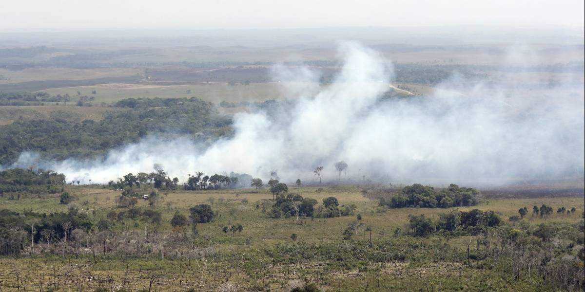 incendios.jpg