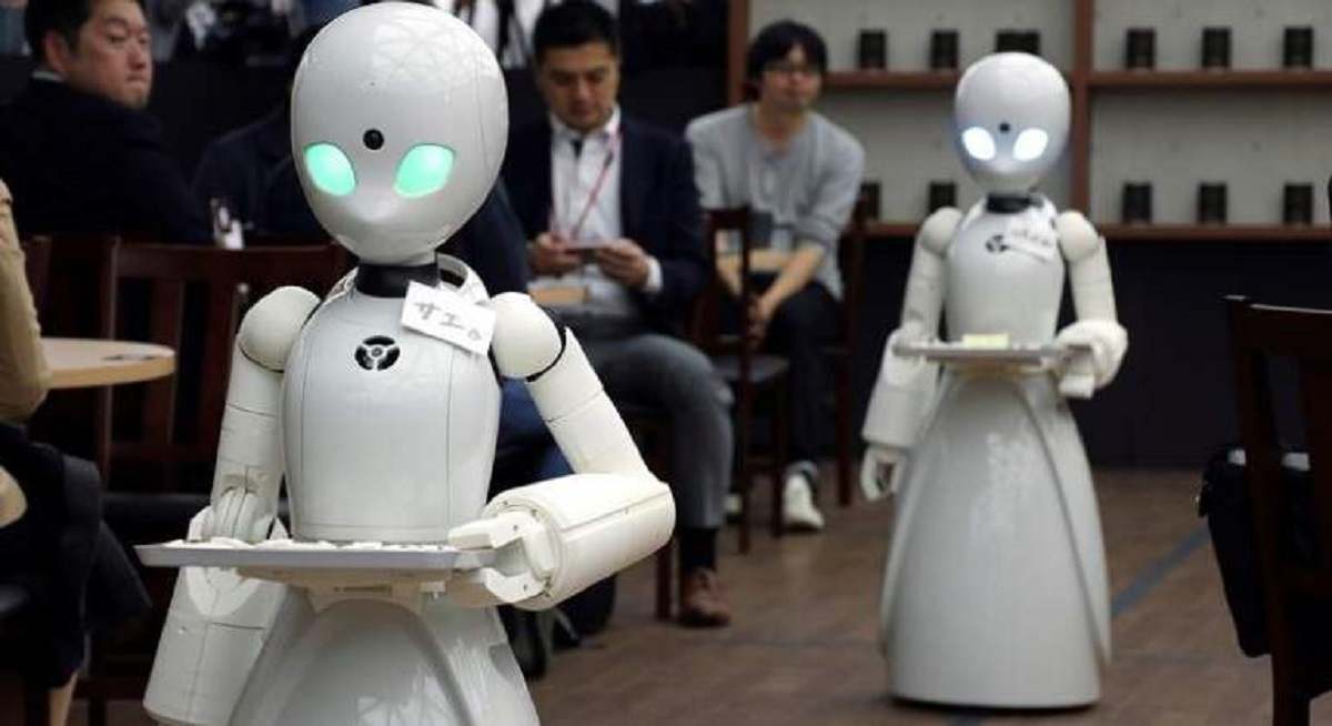 Robots camareros