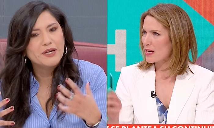 Una tertuliana de TVE pide a Pedro Sánchez "intervenir" medios de  comunicación y "tocar" el Poder Judicial