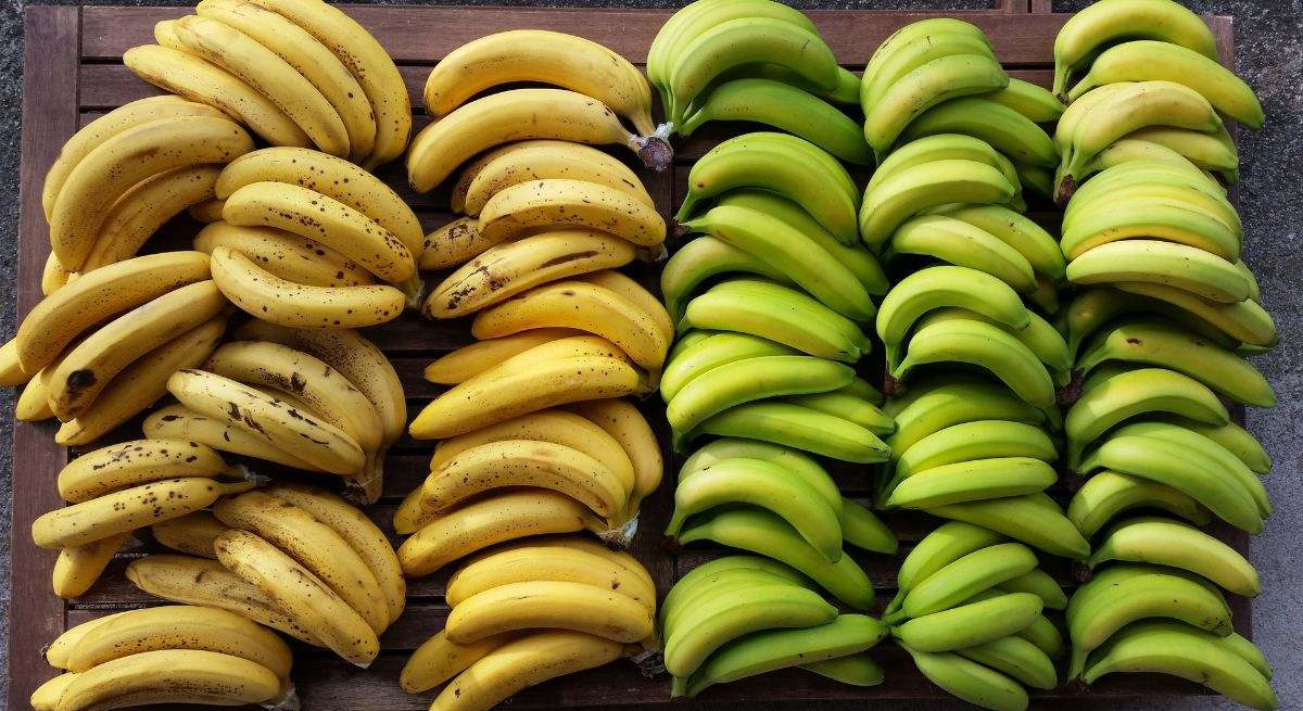 Plátano verde, amarillo o maduro: cuál es el mejor momento para comerlo y hacer recetas sanas con él