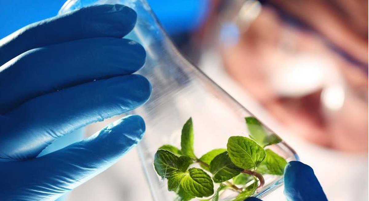 Biotecnologia