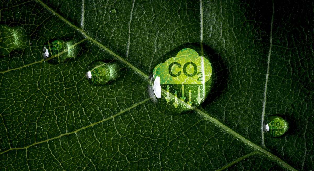 co2-clima.jpg