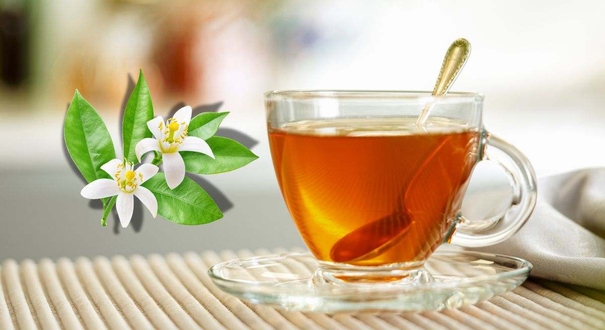 Infusión de azahar