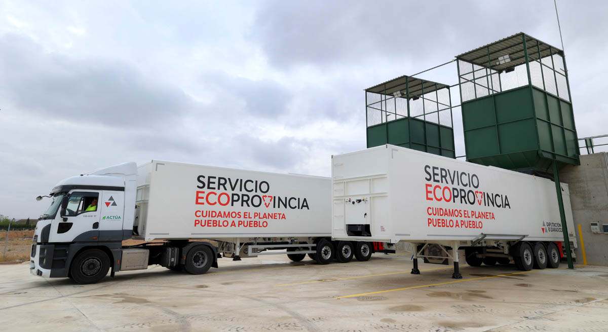 plantaquinto