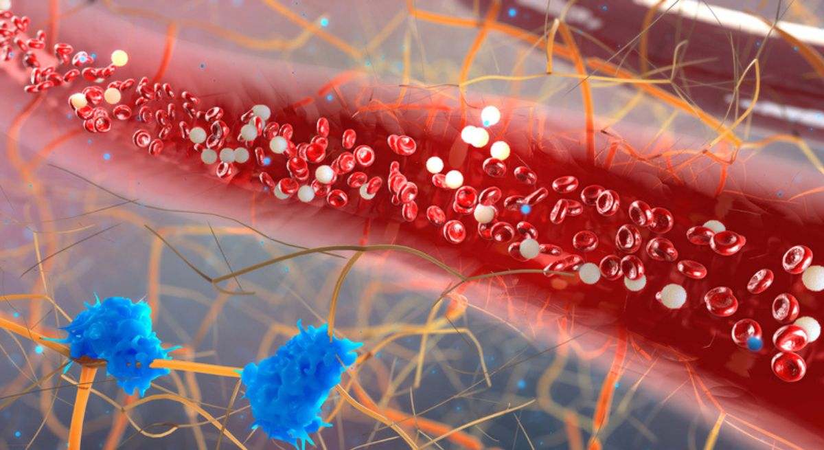 Un análisis global vincula la exposición a sustancias químicas en plásticos con más de 365.000 muertes por enfermedades cardiovasculares