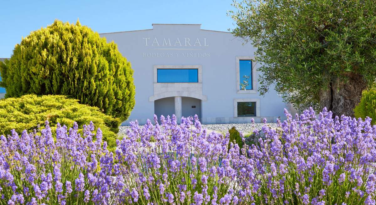 Bodegas-Tamaral-esta-cerca-de-Penafria-en-Valladolid.jpg