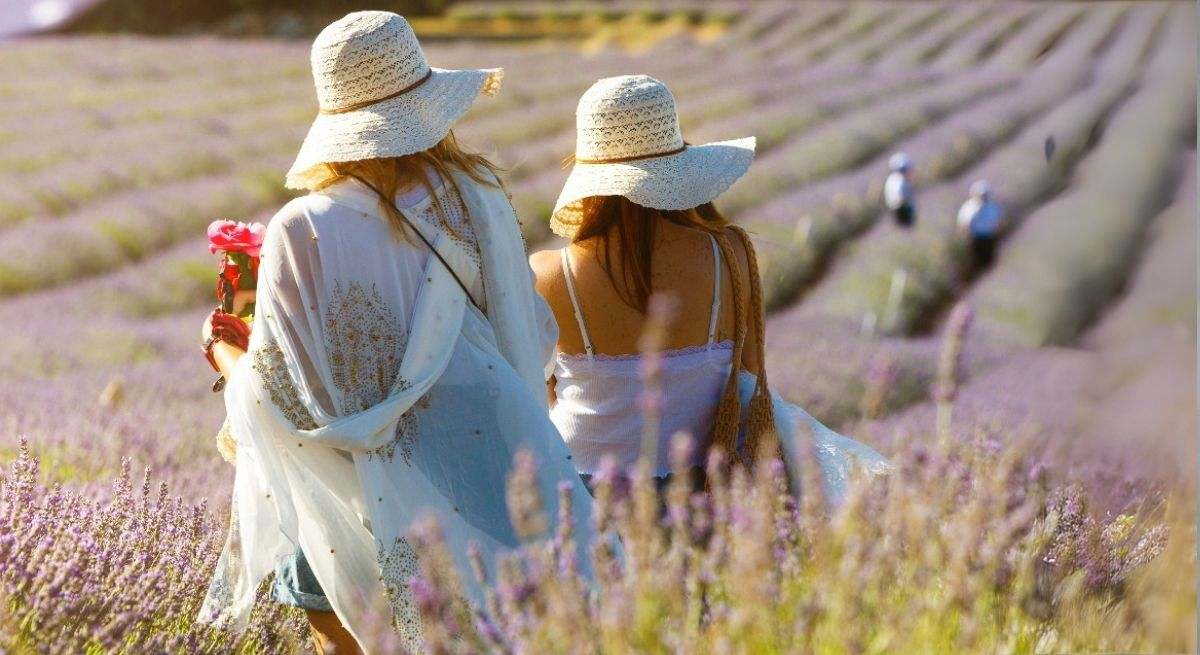 festival-de-lavanda-.jpg