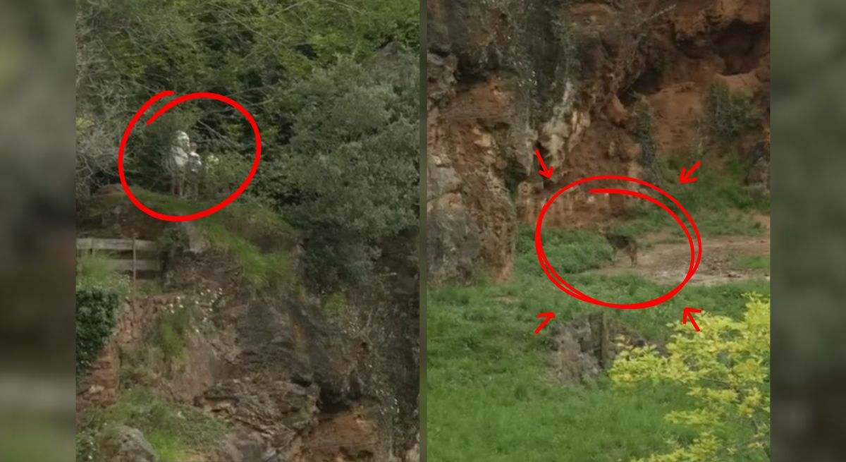 Recinto de lobos de Cabárceno