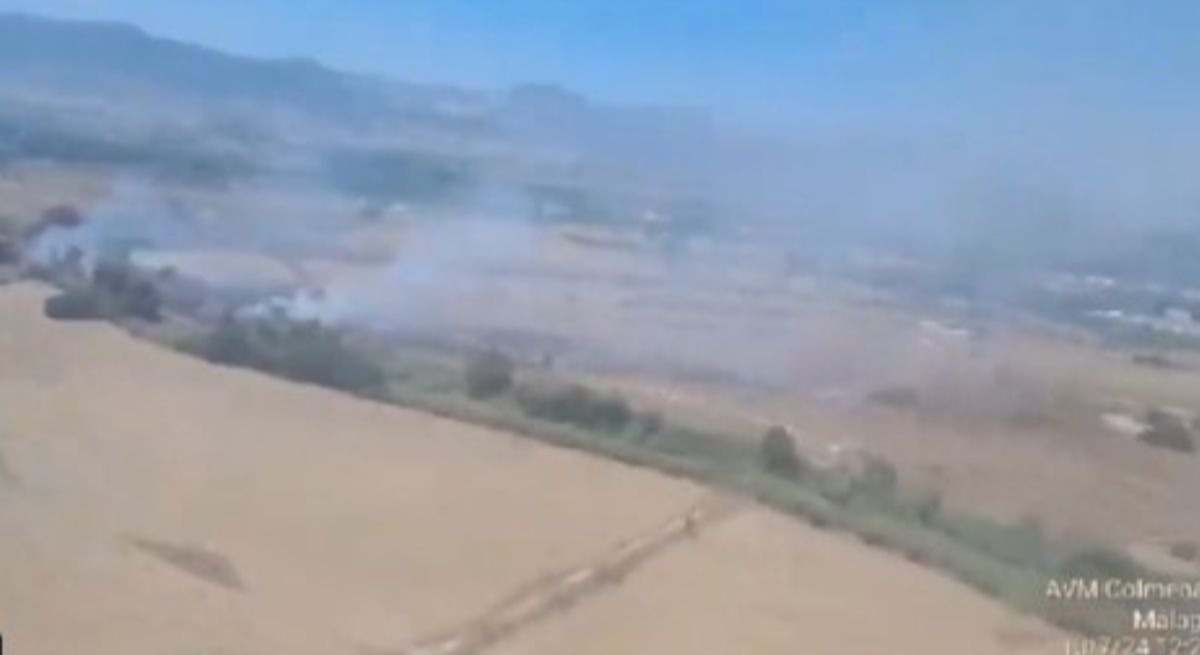 Incendio forestal en Málaga.