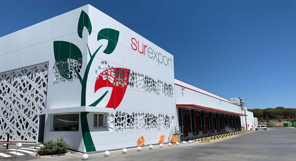 Surexport-1.jpg