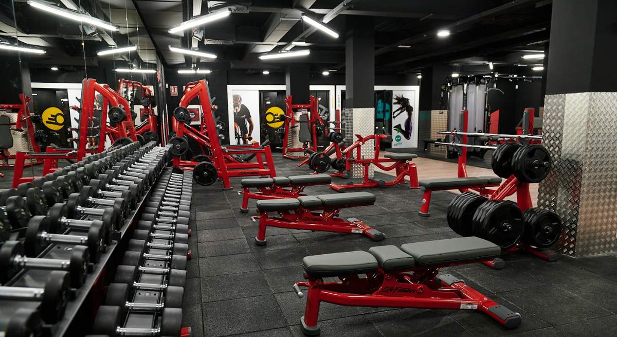 synergym