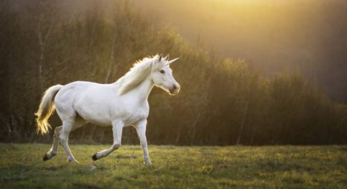 unicornio2.jpg