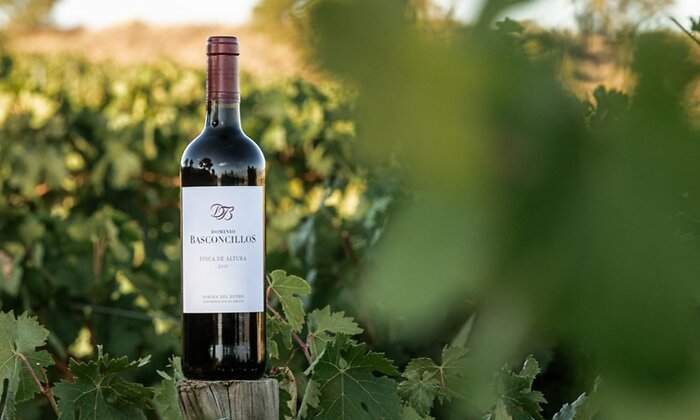 vino-bastoncillos.jpg