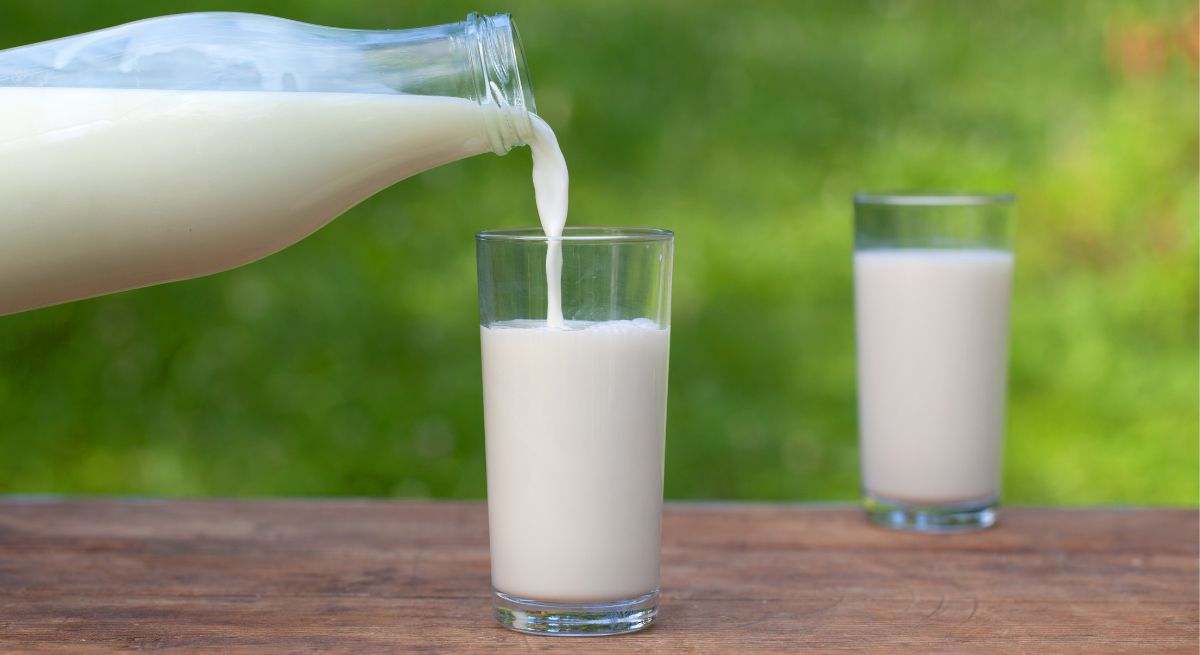 Varios vasos de leche