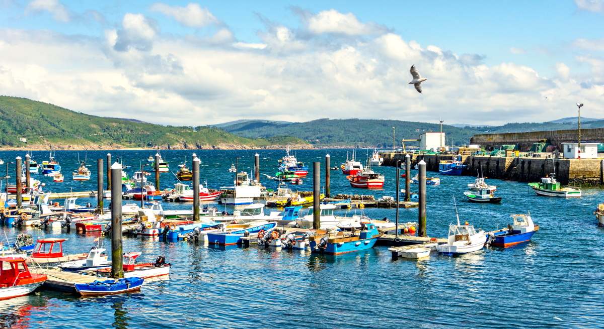 pesca-galicia-istock.jpg