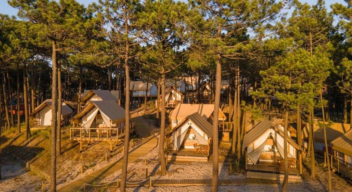 camping.jpg