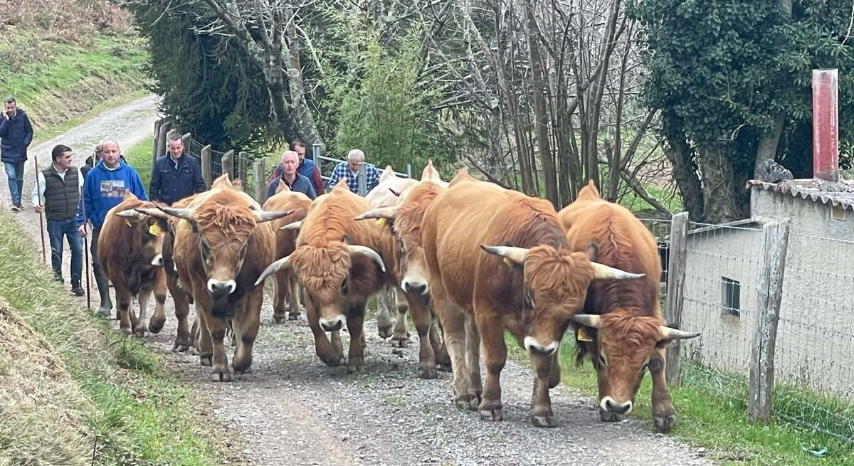 medio rural