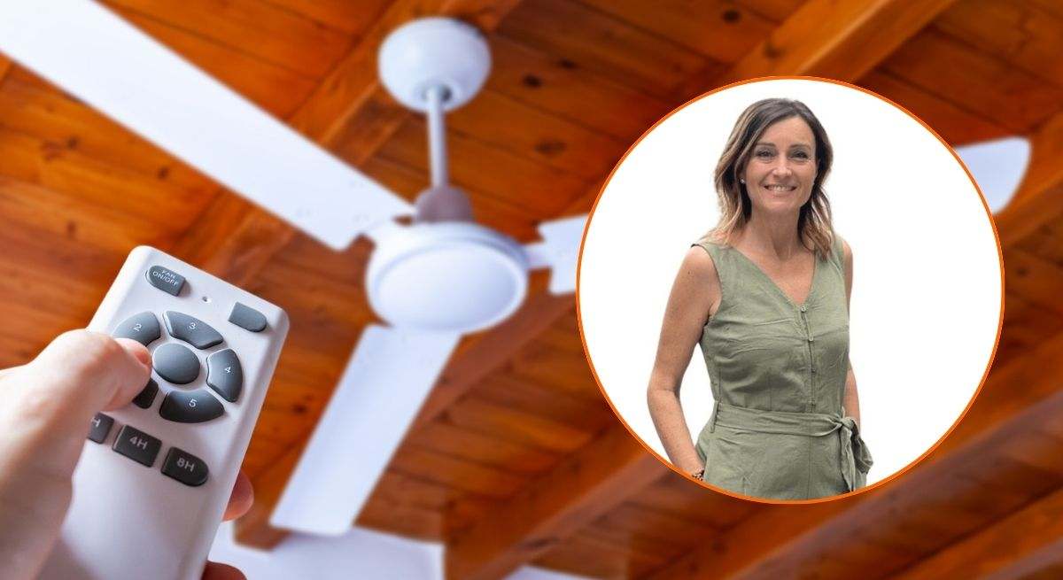 Ventilador de techo, Maite Pérez