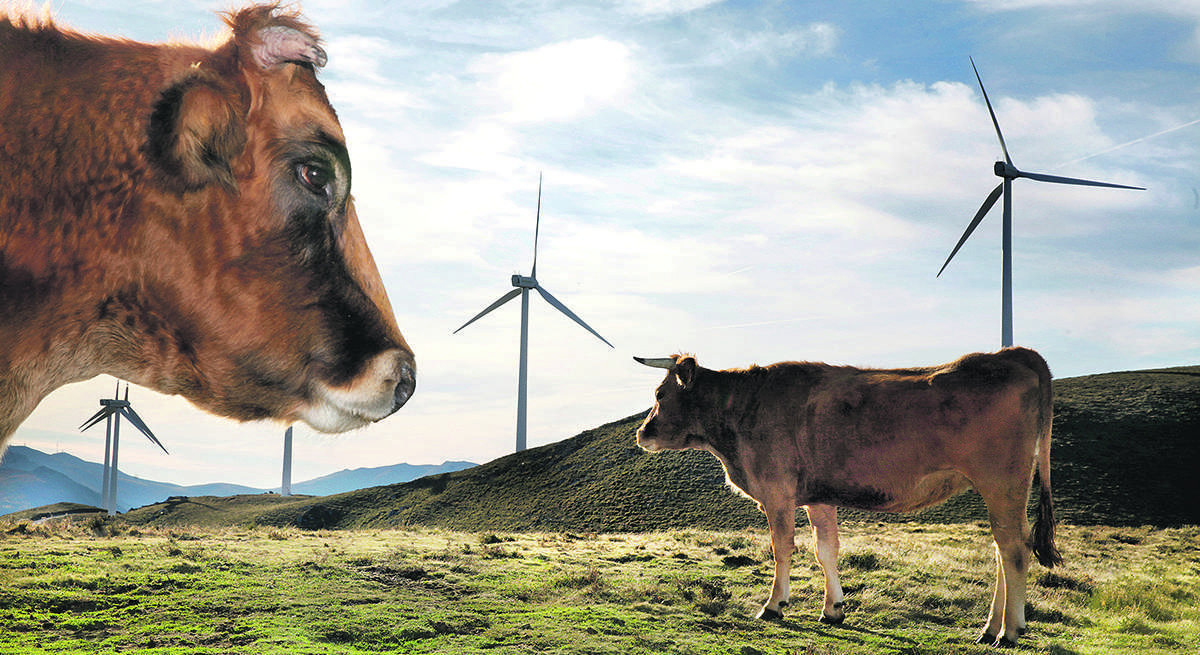 Iberdrola1.jpg