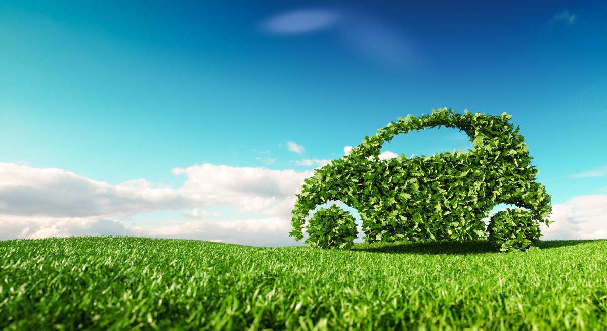 Coche de hojas verdes