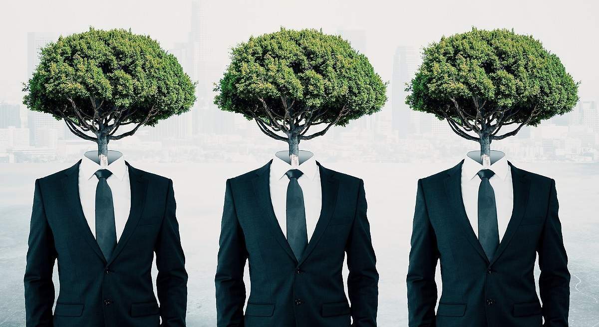 1200x655_arbol_senoros1220.jpg
