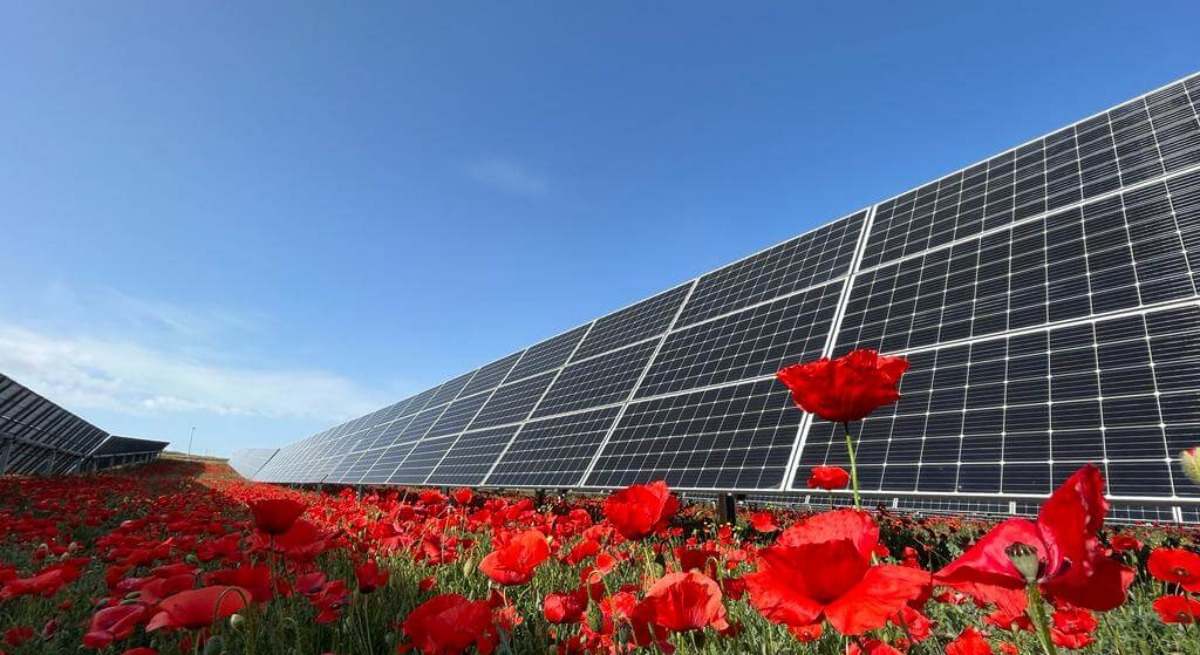 Planta fotovoltaica de Solaria