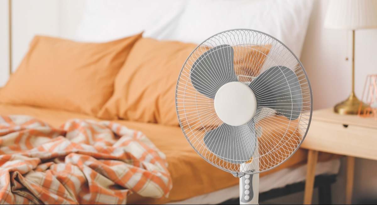 cama-ventilador-canva