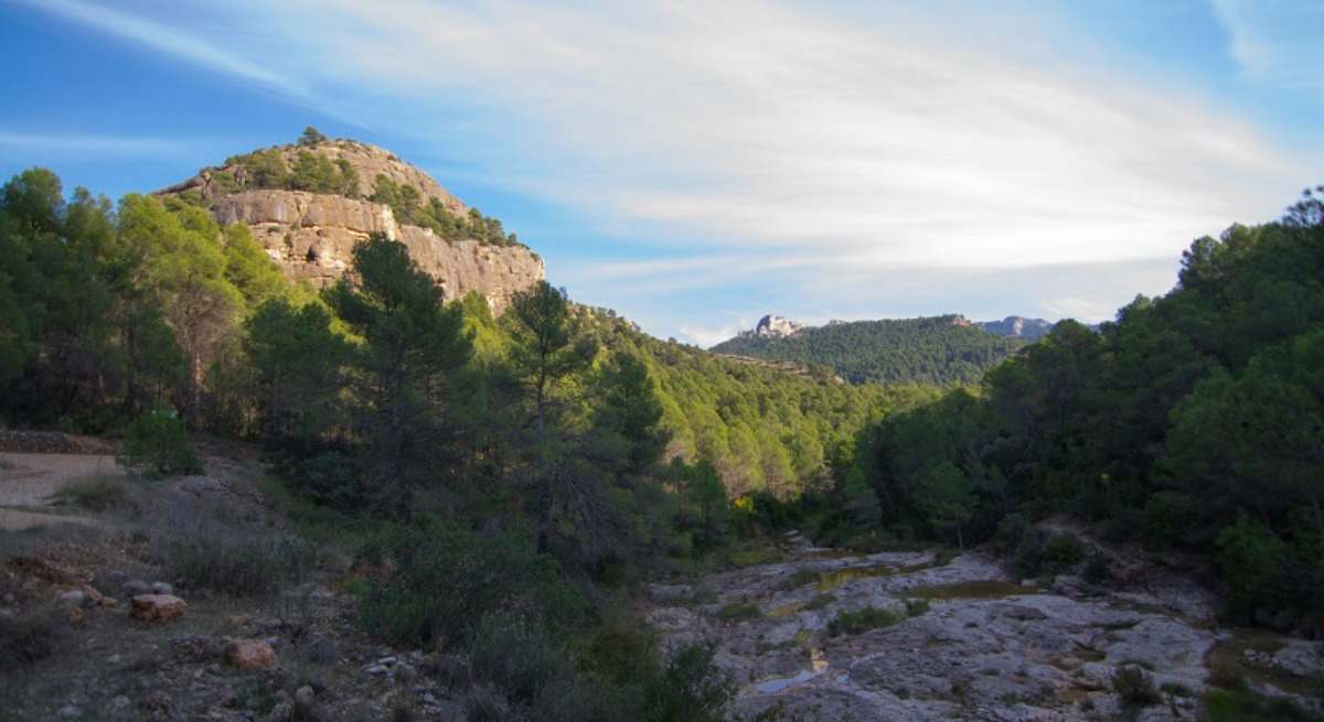 ruta-arnes-ministerio-agricultura